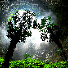 CANOPY