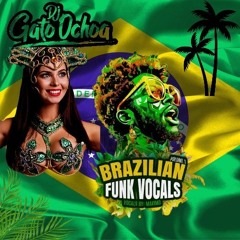 BRASILIAN FUNK MAIS TOCADAS 2024 DJ GATO🏆⚽️🇯🇵🇧🇷🇧🇷🇧🇷