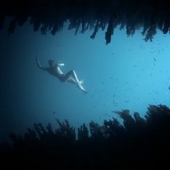 الغوص مع العمالقة