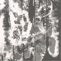 invasión (paciencia)
