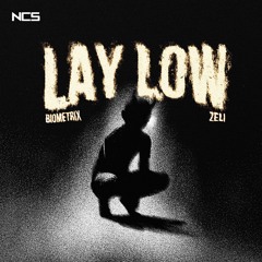 Biometrix x Zeli - Lay Low [NCS Release]