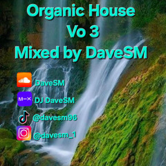 Vol 3 Organic House 07.01.2025
