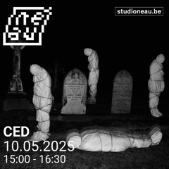 CED — Bazar Bizar #36