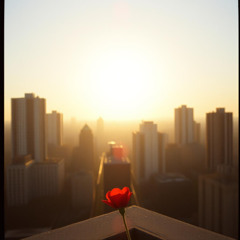 Cold Sun, Warm Groove