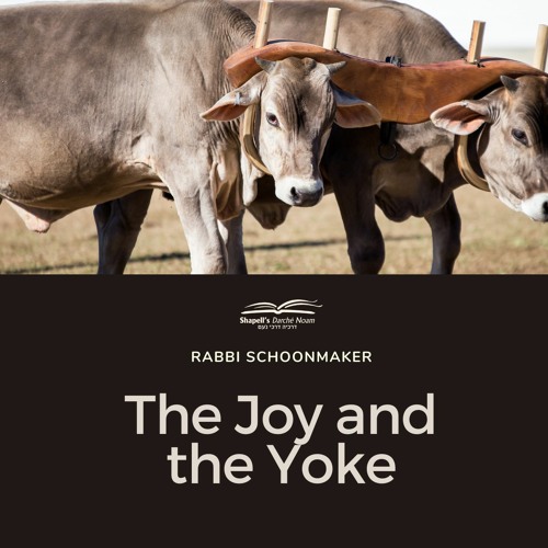 Rabbi Schoonmaker - The Joy And The Yoke