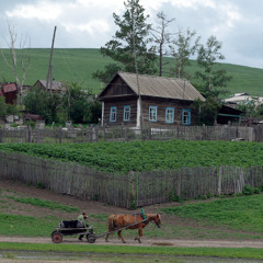 ВСЁ СЕЛО ВЗЯЛО