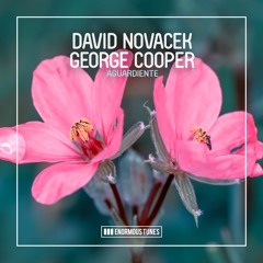 David Novacek & George Cooper - Aguardiente