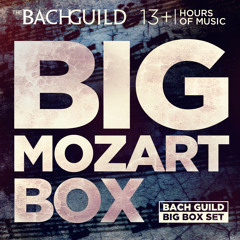 Divertimento in B-flat Major for Two Horns and Strings, K. 287: i. Allegro