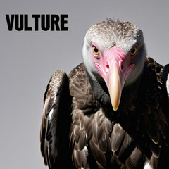 VULTURE