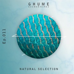 Episodio 11 - Natural Selection