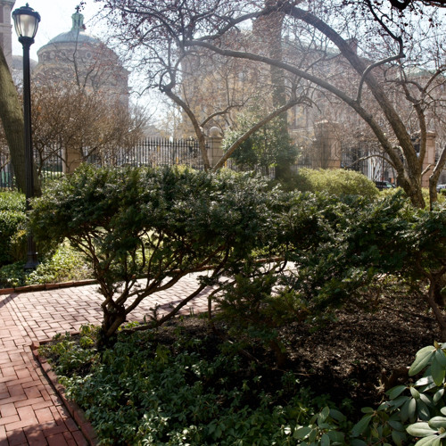 Liberia Sig 10 Reasons