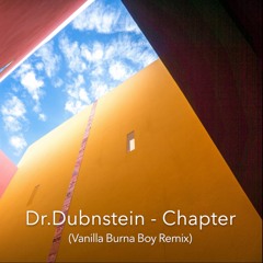 Dr.Dubnstein - Chapter (Vanilla Burna Boy Remix)