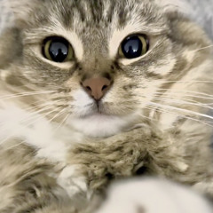 winter <3 - [prod.chxnce]