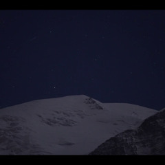 A la recherche du loup