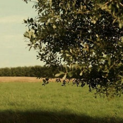 sökare