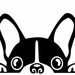 FAVORITE SONGS (@PAEZEMILIO)(@paezemiliodj) HOUSE & TECH HOUSE