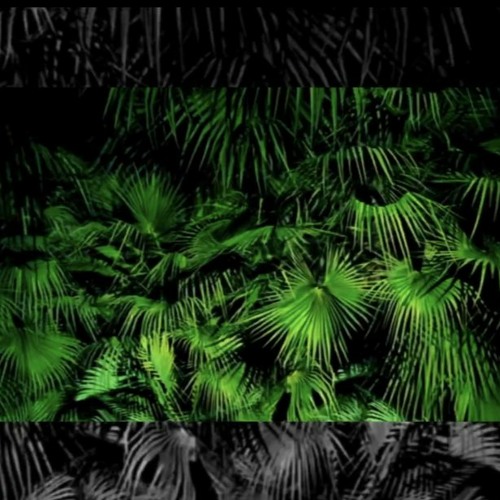 Stream demo20230324 (acidlab miami//behringer rd9//DSI tetra