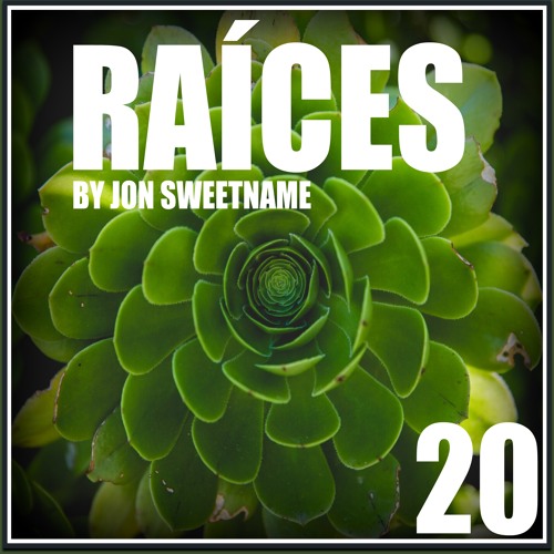 Raíces 20 by Jon Sweetname