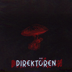 STAG - DIREKTÖREN