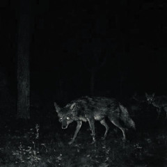 stay away from the blade