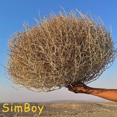 Human Tumbleweed