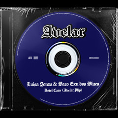 LUISA SONZA & BACO EXU DOS BLUES - HOTEL CARO (Avelar Flip)