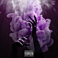 CandyKush x Whitelit - Fix
