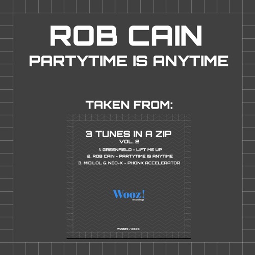 Rob Cain - Partytime Is Anytime