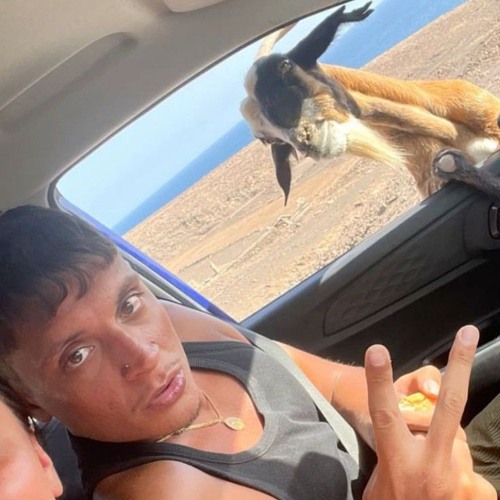 Monte Fuji - Techno RMX