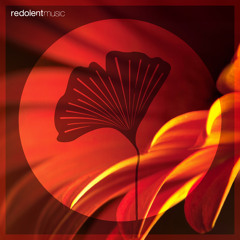 Stream DJ CHUS OFFICIAL | Listen to Tribal Dance playlist online