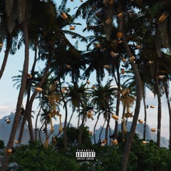 Shrooms & Casamigos (Prod Lil K & Eliyf)