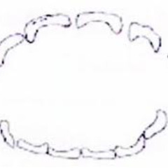 Teeth Marks - elgoofy