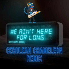 Nathan Dawe - We Ain't Here For Long (Ceruean Chameleon Remix)