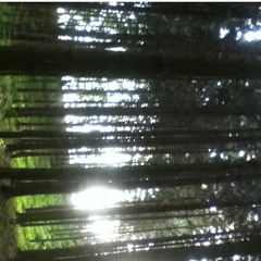 Pickle In My Paycheck