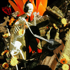 Karms - The Rose That Bloomed From Absence Of Light