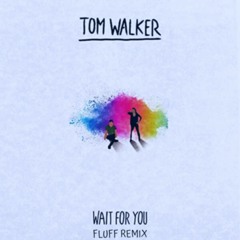 Tom Walker - Wait For You (Fluff Remix)(Free Download)