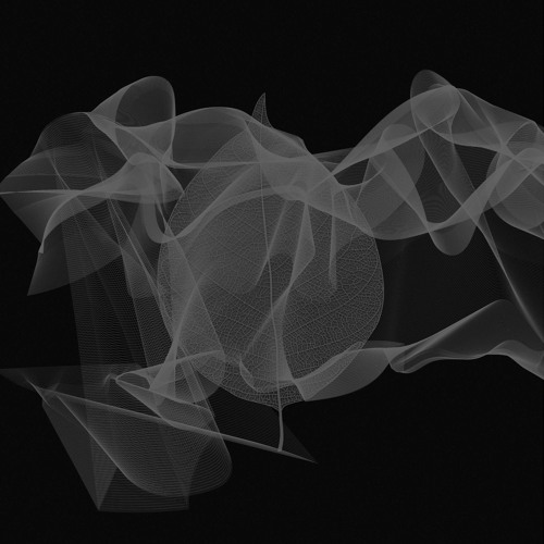 .CHPTR010 'Forest asymmetry' | Høll
