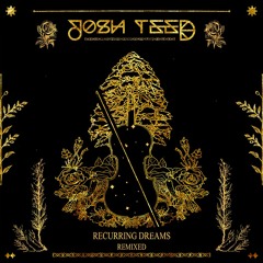Josh Teed & Super Future - Elysian Forest (Buzz Junior Remix)
