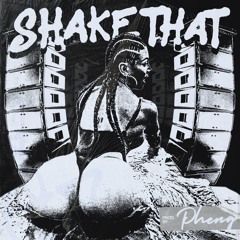 PHENG - Shake That