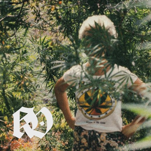 Ambient Jungle Projekt