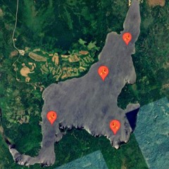 Not Like Us (Newfie Version)