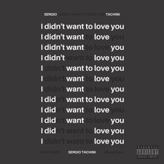 I Didn't Want To Love You