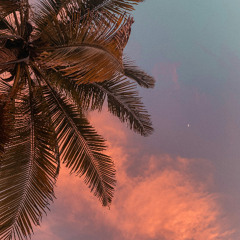 Sunset Groove - Vol. 2