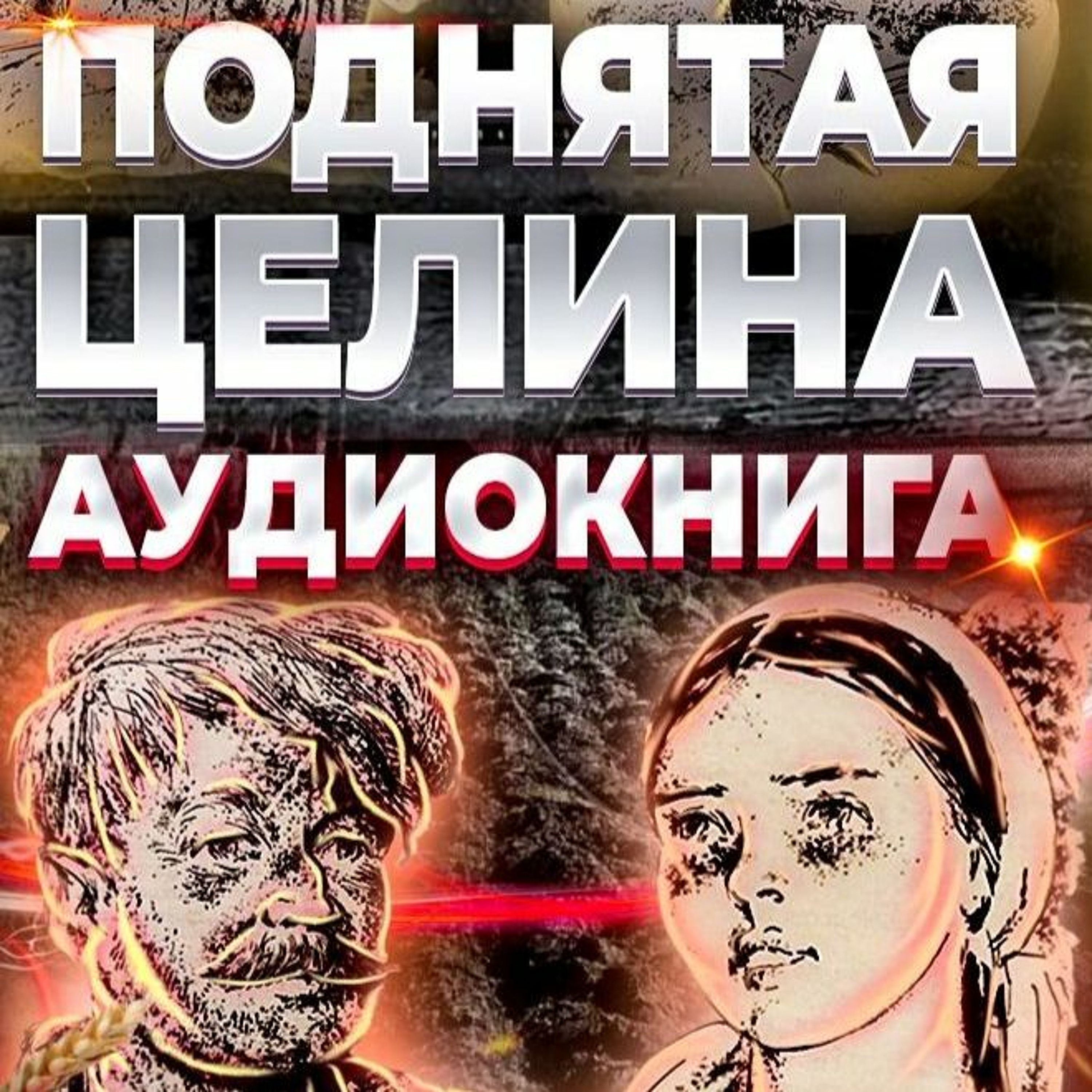 Поднятая Целина. Аудиокнига. Книга 1. Глава 2, Урок 2. episode artwork