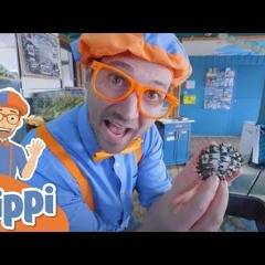 Learning Under Water Animals With Blippi | Educational Videos For Kids