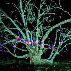 Intrinsic Gathering 2024