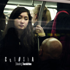 Bleeding Foundation – Genosha