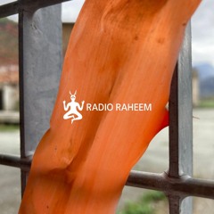 Hectic on Radio Raheem