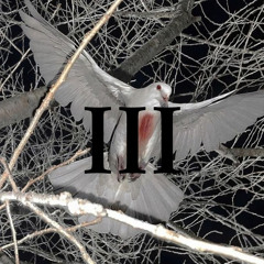 …and now my tears for you, echo (prod. b3ndo beats)