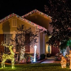 Christmas Lights Ditto